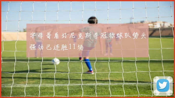 字母哥看好尼克斯夺冠称球队势头强劲已连胜11场