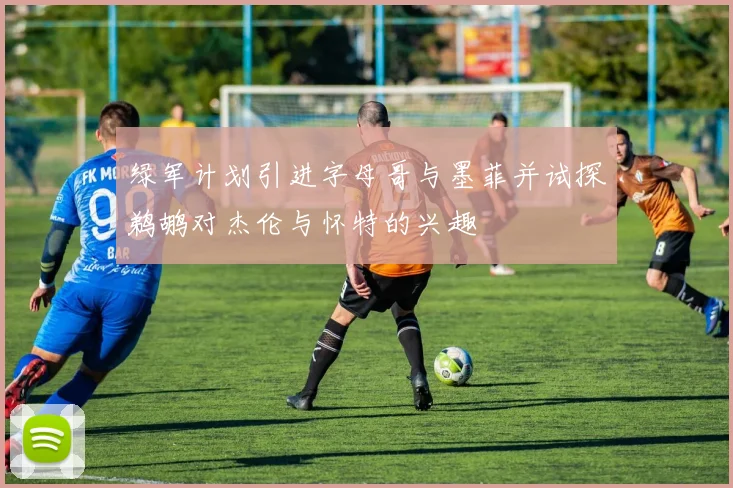 绿军计划引进字母哥与墨菲并试探鹈鹕对杰伦与怀特的兴趣